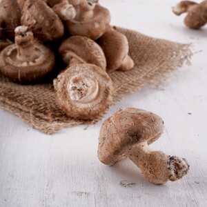 [토담골]양양 해풍담은 생표고 1kg