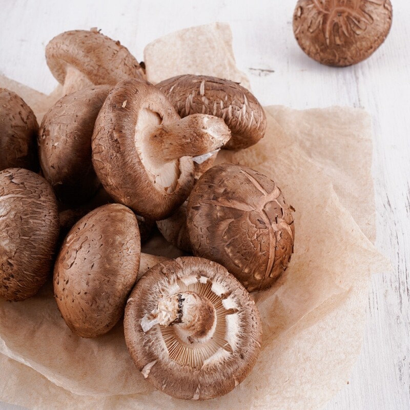 토담골농장,[토담골]양양 해풍담은 생표고 1kg