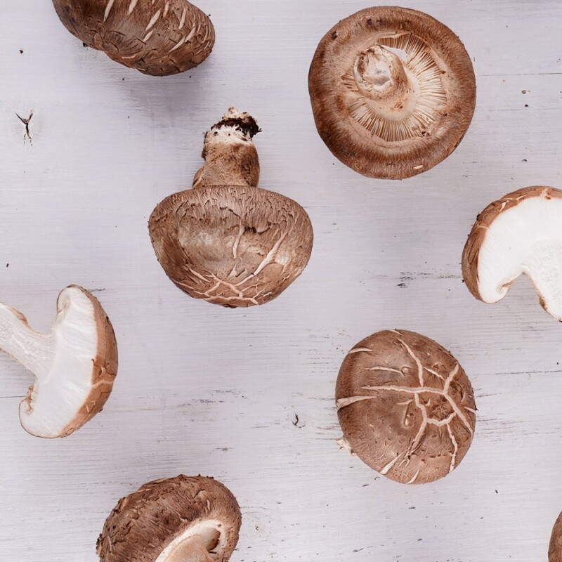 토담골농장,[토담골]양양 해풍담은 생표고 1kg