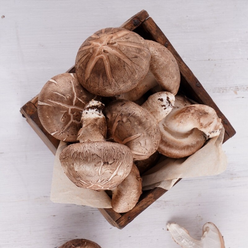 토담골농장,[토담골]양양 해풍담은 생표고 1kg