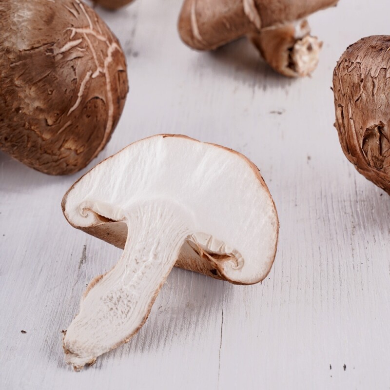 토담골농장,[토담골]양양 해풍담은 생표고 1kg